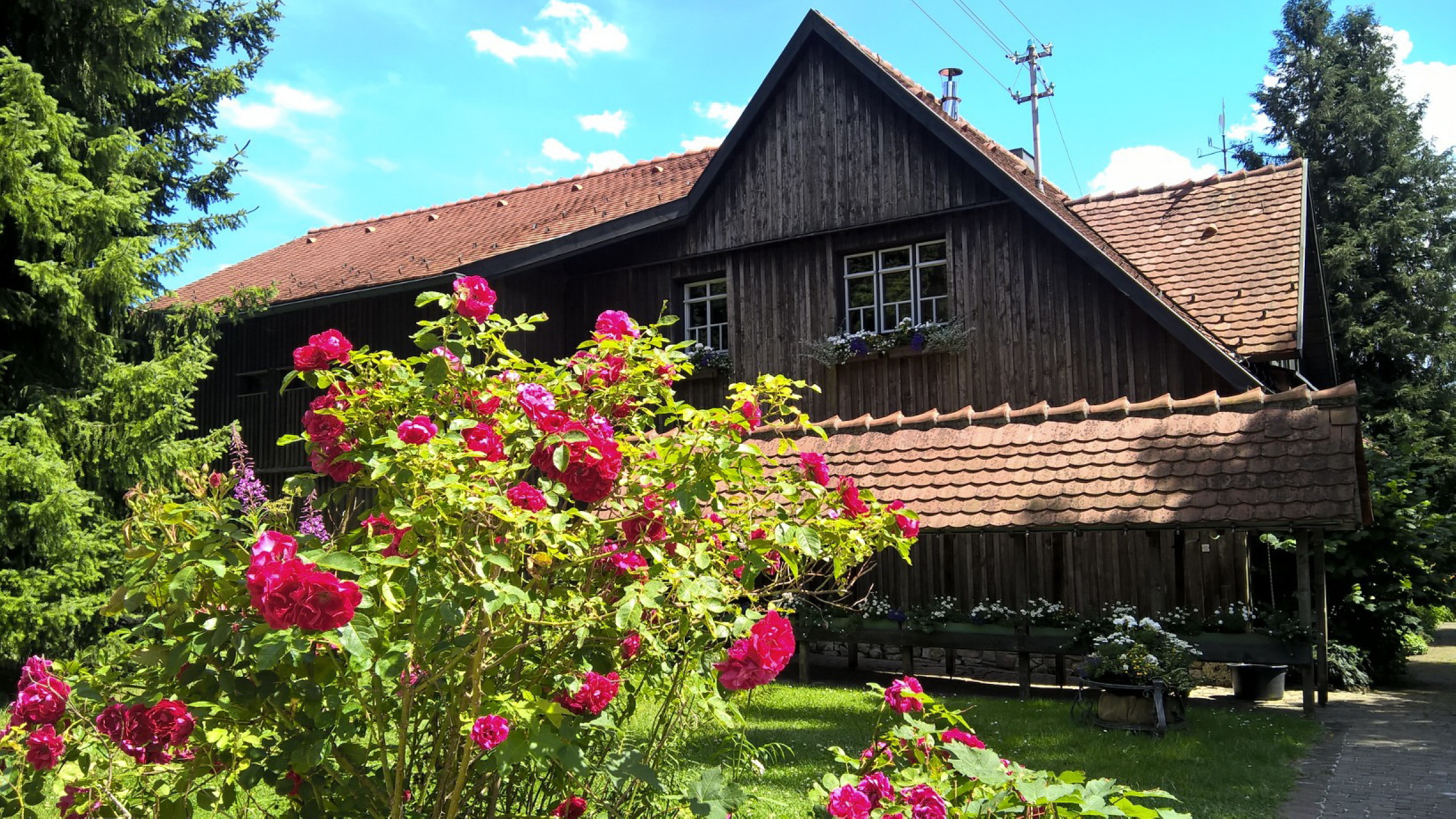 Ferienwohnung Älblernest